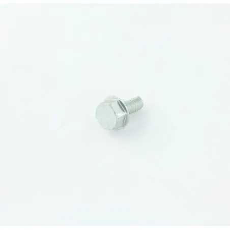 VIS HEXAGONAL EFMG M 6X 12 D7500 8.8C POUR AUTOLAVEUSE TENNANT