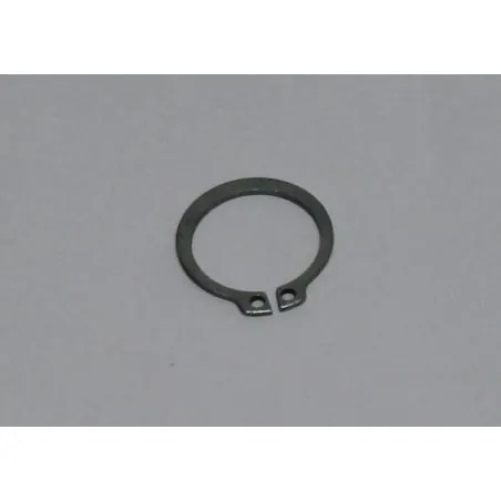 RONDELLE 22A POUR AUTOLAVEUSE TASKI SWINGO (4023410)