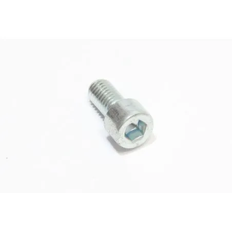 VIS M3X10 UNI 7688 FLOORPUL...
