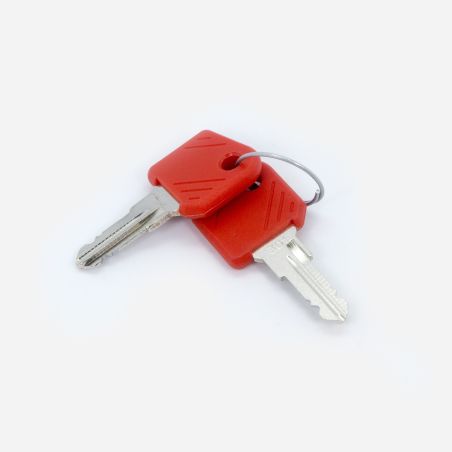 CLE DE CONTACT (LOT DE 2) POUR AUTOLAVEUSE HAKO - R2MS