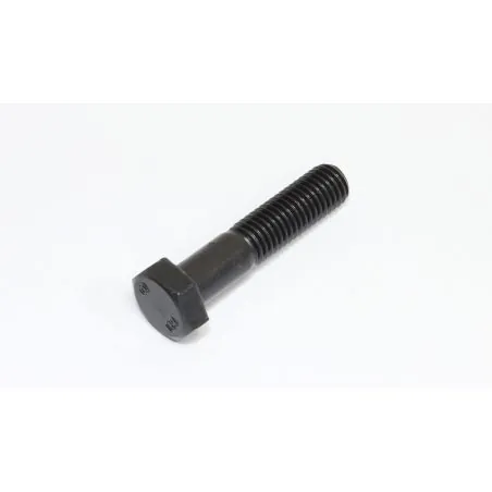 VIS A TÊTE SIX PANS M12x55/3