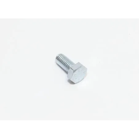 VITE M6X14 TE UNI 5739 (8.8) ZINC.