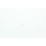 SERRE CABLE POUR AUTOLAVEUSE FIORENTINI PINKY