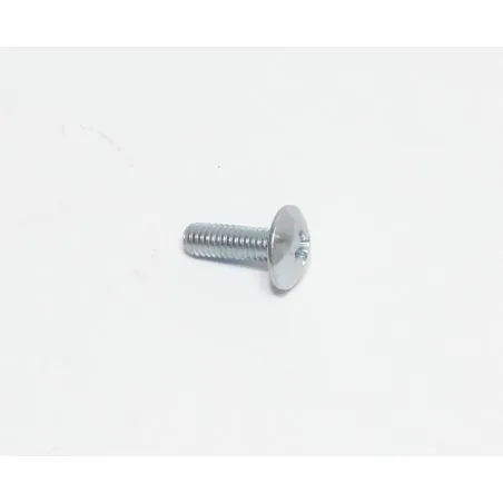VIS, TRS, M4 X 0.70 X 12, PHL, PL POUR AUTOLAVEUSE TENNANT
