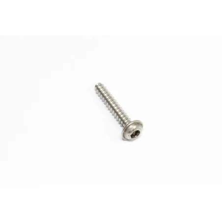 VIS DELTA PT TORX 60X35