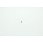 ECROU 1/4 20 NILFISK