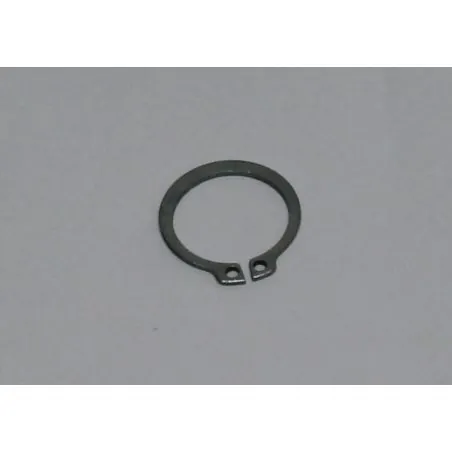 RONDELLE 22A POUR AUTOLAVEUSE TASKI SWINGO (4023410)