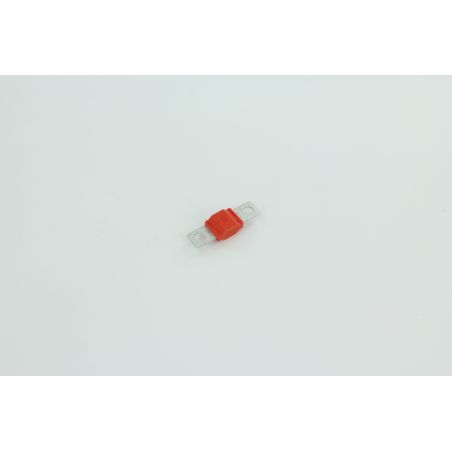FUSIBLE POUR AUTOLAVEUSE EUREKA