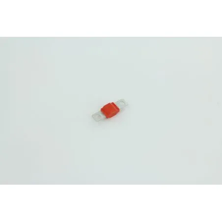 FUSIBLE POUR AUTOLAVEUSE EUREKA