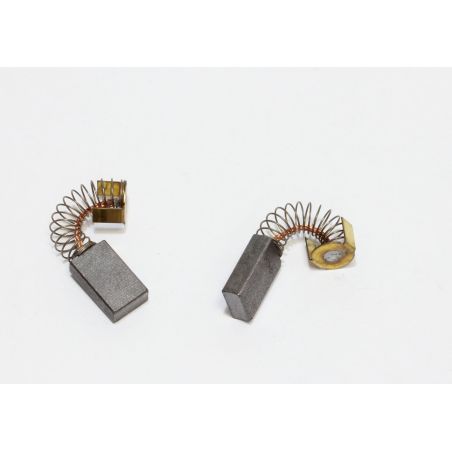 KIT BALAI CHARBON MOTEUR DE TRACTION TASKI (2 PCS.) - R2MS