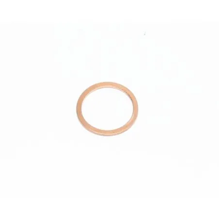 ANNEAU DE JOINT NILFISK - R2MS