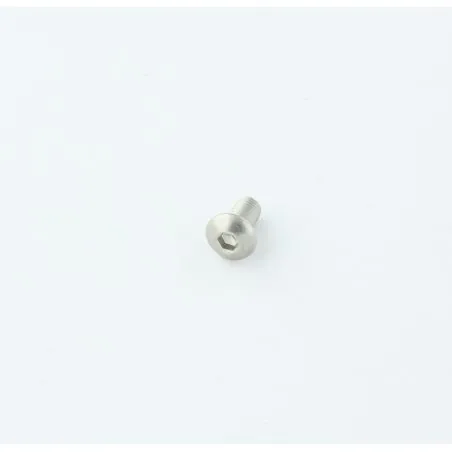 VIS À TÊTE CYLINDRIQUE EN ACIER INOXYDABLE DE 5 X 10 MM DE LONG
