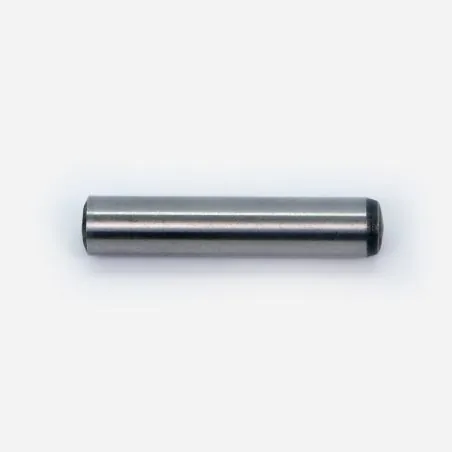 GOUPILLE CHARNIERE POUR AUTOLAVEUSE HAKO B310R - R2MS