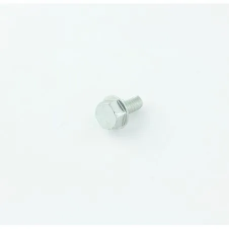 VIS HEXAGONAL EFMG M 6X 12 D7500 8.8C POUR AUTOLAVEUSE TENNANT