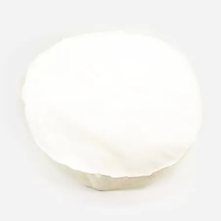 FILTRE COTON RGS ONE 63