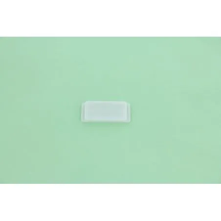 PLAQUE DE GUIDAGE POUR MONOBROSSE TASKI