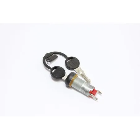 CONTACTEUR A CLE POUR AUTO LAVEUSE ARGOS - R2MS