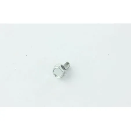 VIS HEXAGONALE POUR AUTOLAVEUSE TENNANT