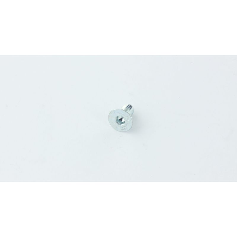 VIS M6X12 TPSCE UNI5933 (10.9) ZINC.