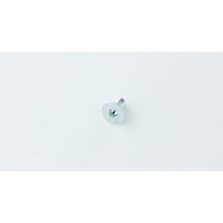 VIS M6X12 TPSCE UNI5933 (10.9) ZINC.