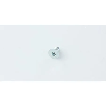 VIS M6X12 TPSCE UNI5933 (10.9) ZINC.