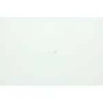 FUSIBLE 40A POUR AUTOLAVEUSE NILFISK-ALTO