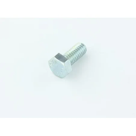 VIS HEX 5/16 18X.88 NILFISK - R2MS