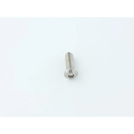 VIS TBEI M 8X 25 ISO