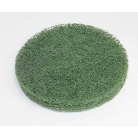 DISQUE LAVAGE VERT DIAM 200MM TRUVOX ORBIS - R2MS