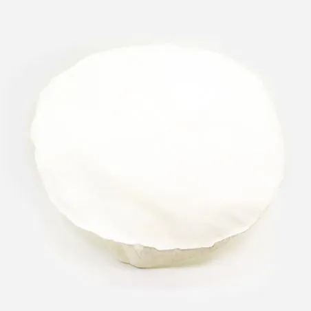 FILTRE COTON RGS ONE 63